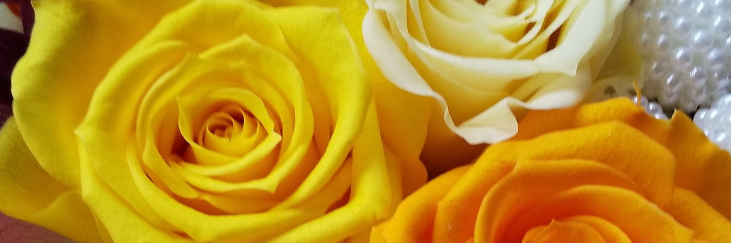flowermoe's profile banner image