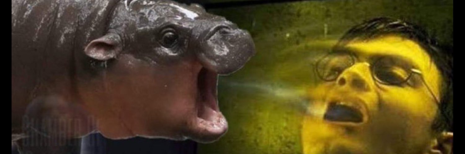 Shmeeps 🧹 (LETS COOK) banner