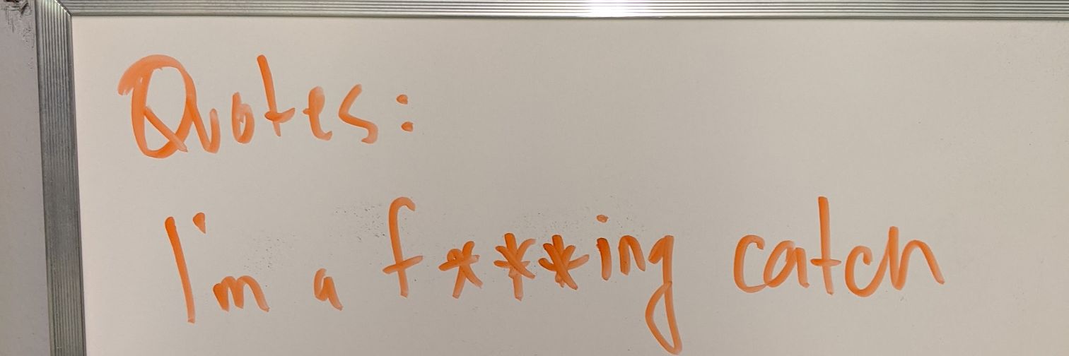 steeegs's profile banner image