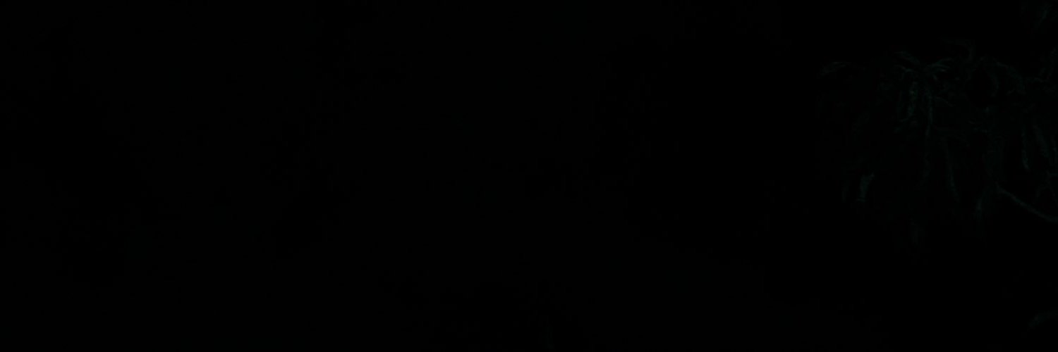 double13___'s profile banner image