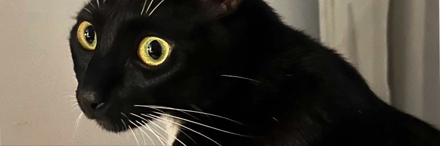 _bbyscorsese's profile banner image