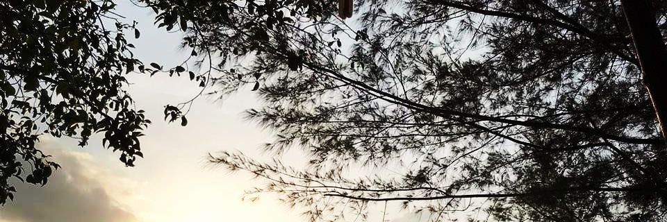 SaintSpectra's profile banner image