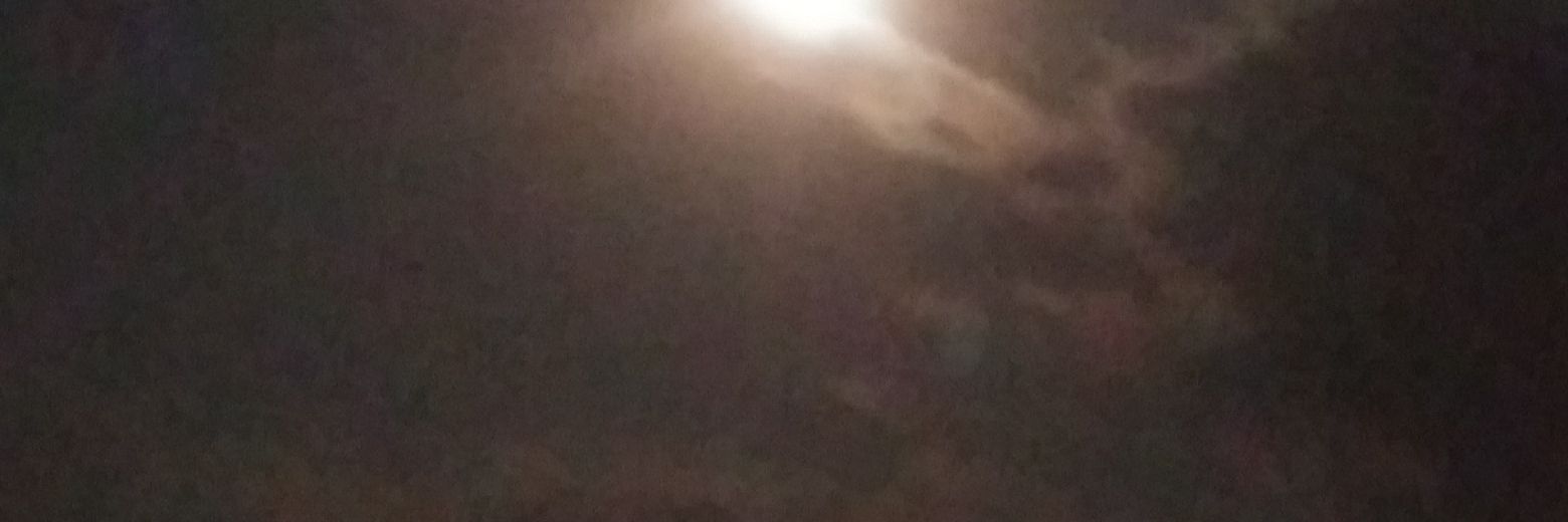 ralulo's profile banner image