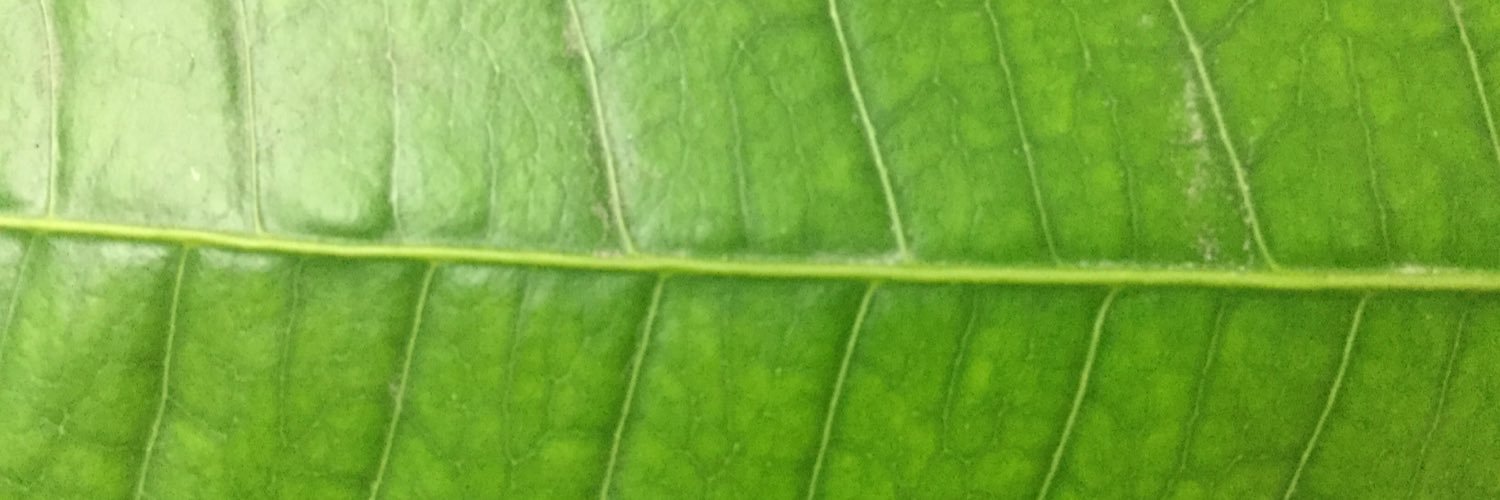Comeniusmx's profile banner image
