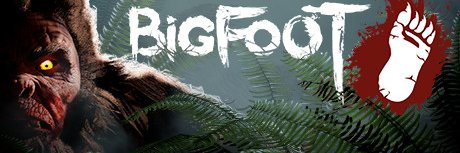 BigFoot Shaber banner