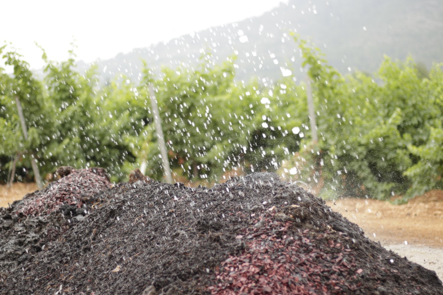 Ana García Rández banner