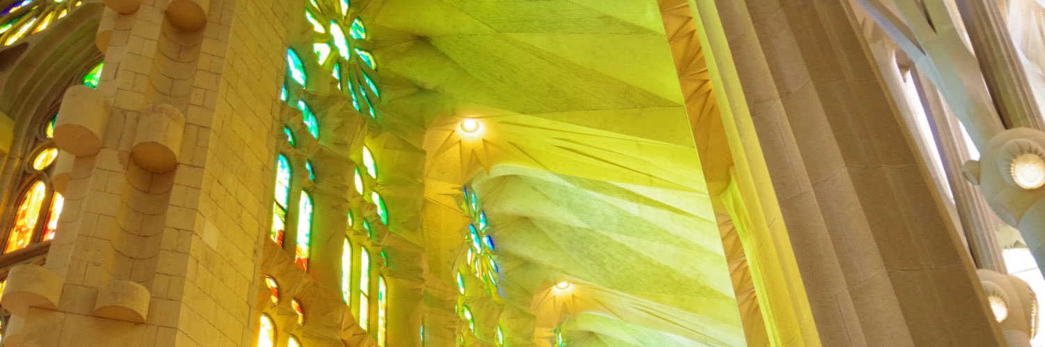 YgAcorn's profile banner image