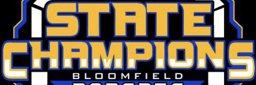 Bobcat sports fanatic banner