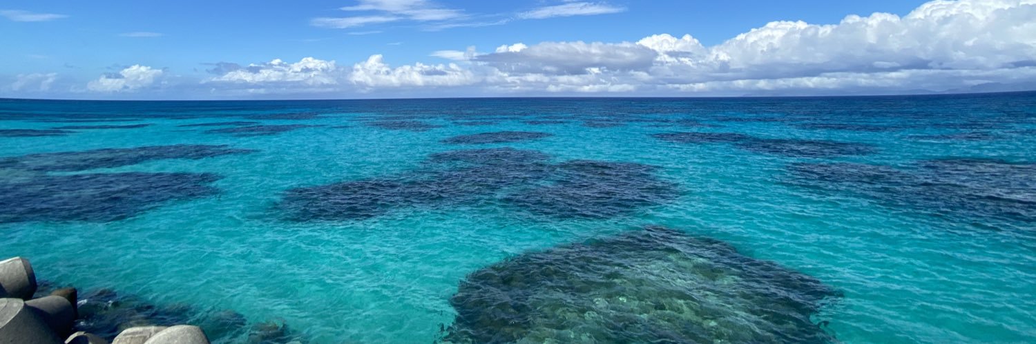 🌿こりん🌿 banner