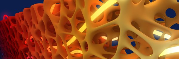 SadafSobhani Profile Banner