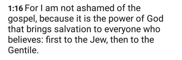 BuggHive Profile Banner