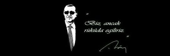 RTE'liçenin Arısı's banner