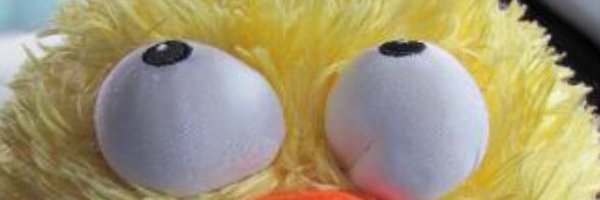 QueenPuffyFish Profile Banner