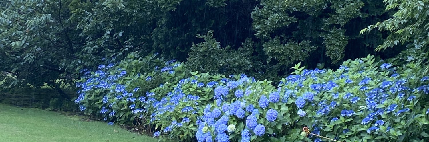 ハル@厭世の只中 banner