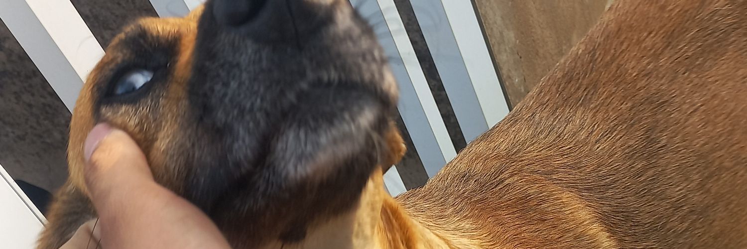 Faug banner