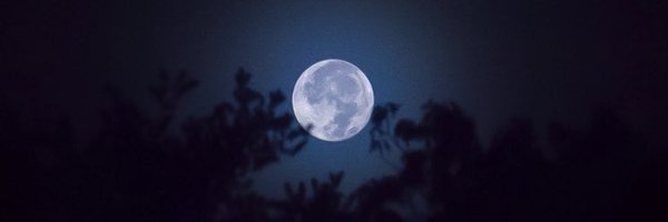 JEVos17 Profile Banner