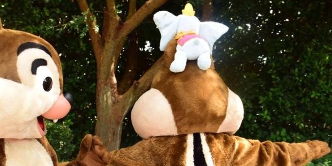 SOUPharupon's profile banner image