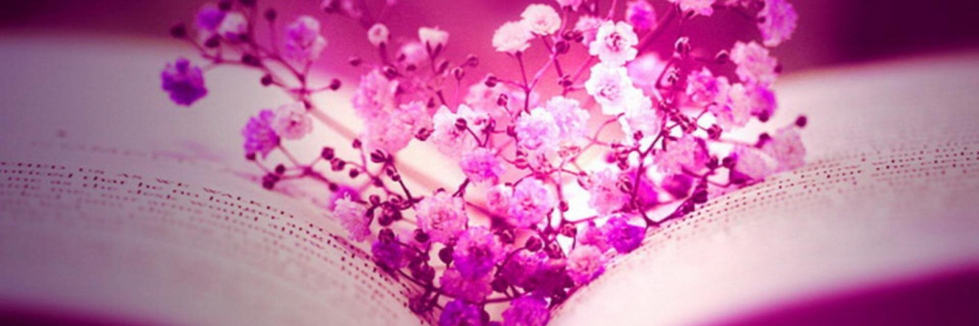 _gracewong_'s profile banner image