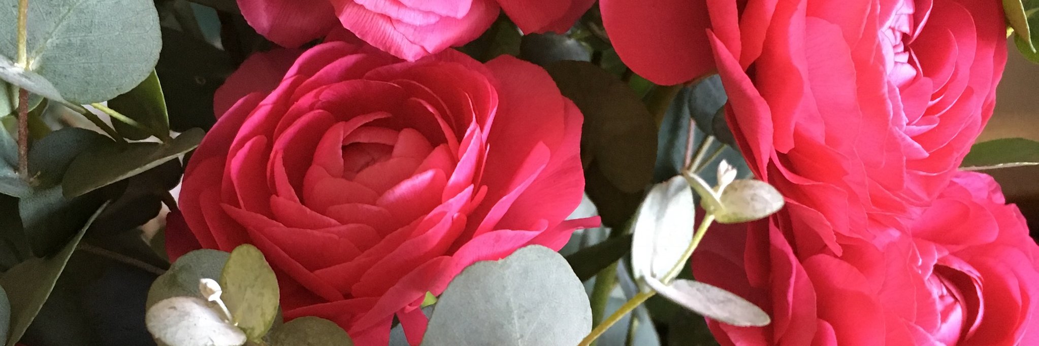 Anouk_et_J's profile banner image