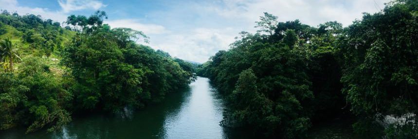 María Daniela García banner