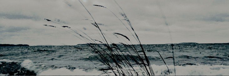 velaryous's profile banner image