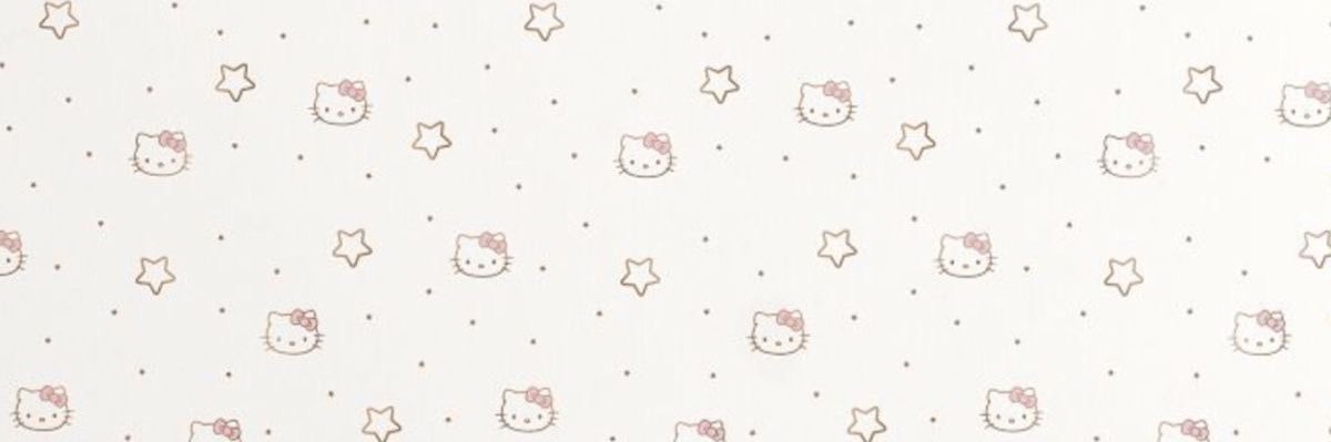 เหลาร่า ˖ ꒱⸰ֺ banner