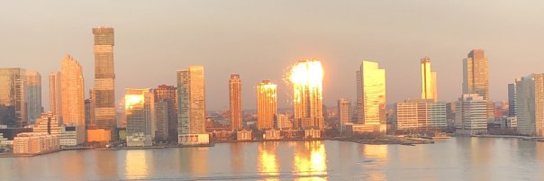 drsue@drsue.com banner