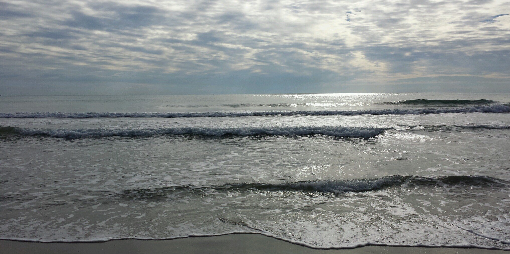 Esther Domingo Chiva banner