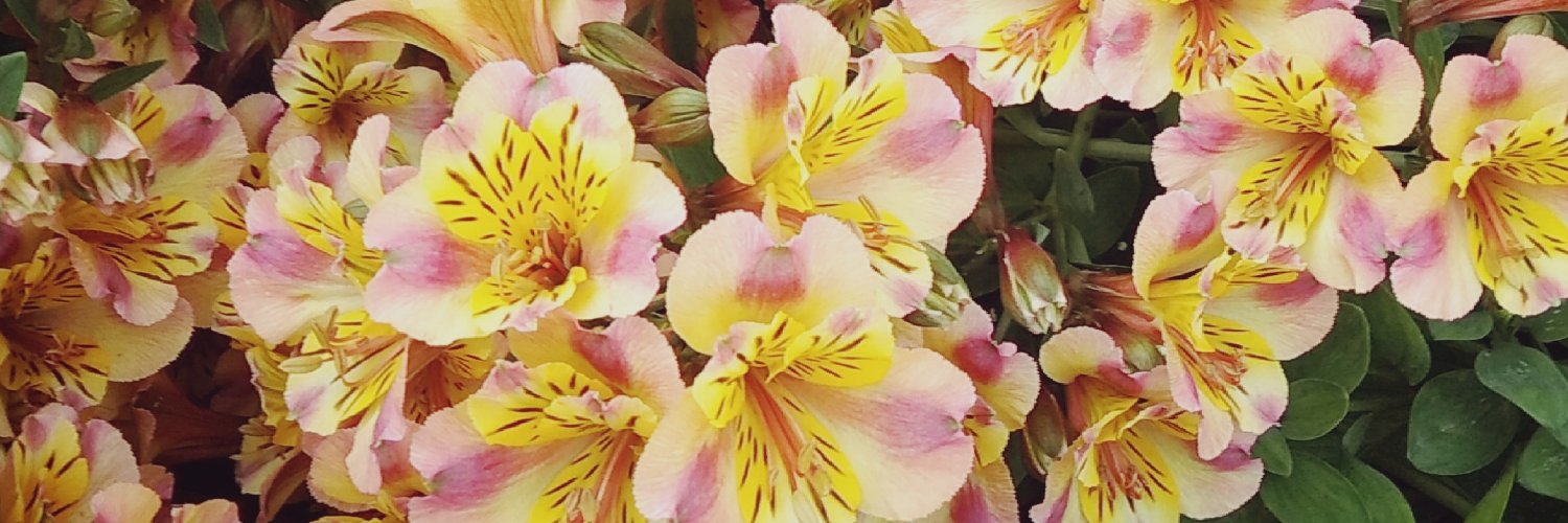 Jessica Maria Villar banner