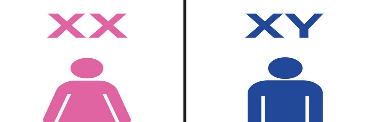 Enbrok's profile banner image