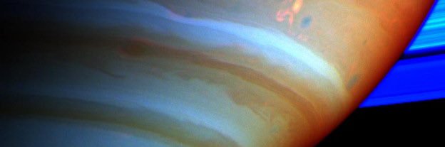 jankajanjan 🍉 banner