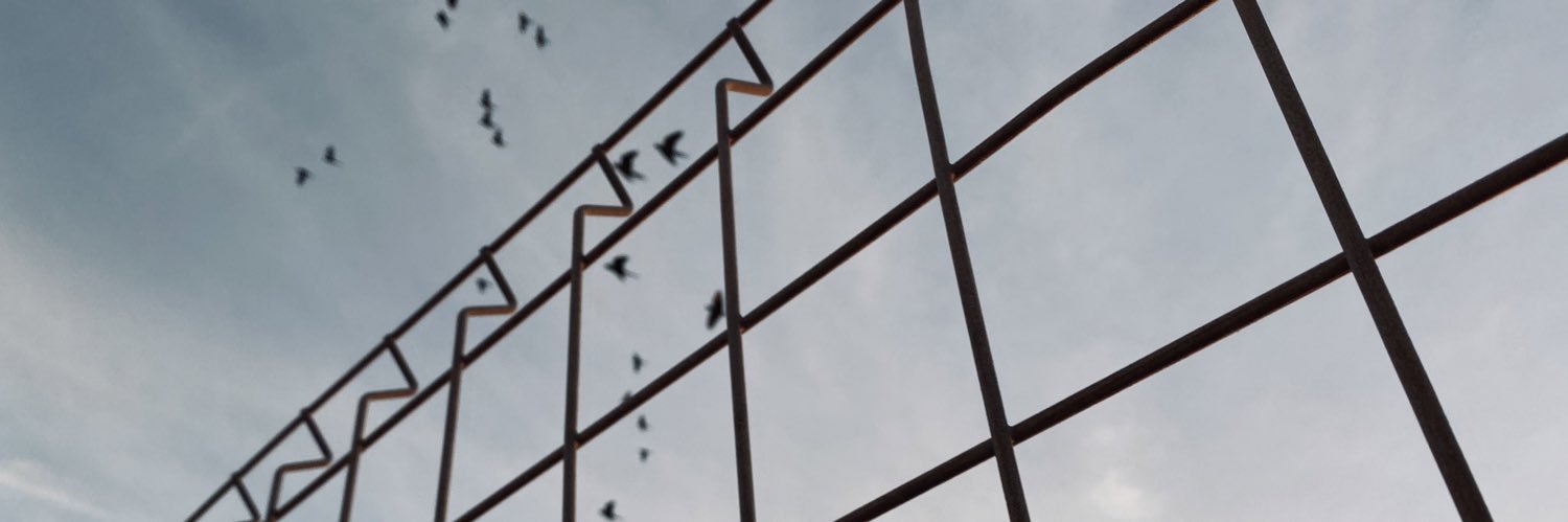 MariaPBosca's profile banner image