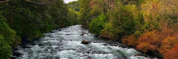 Arwheen Profile Banner