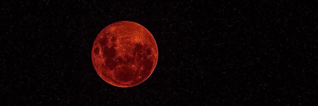 ramonesl1's profile banner image