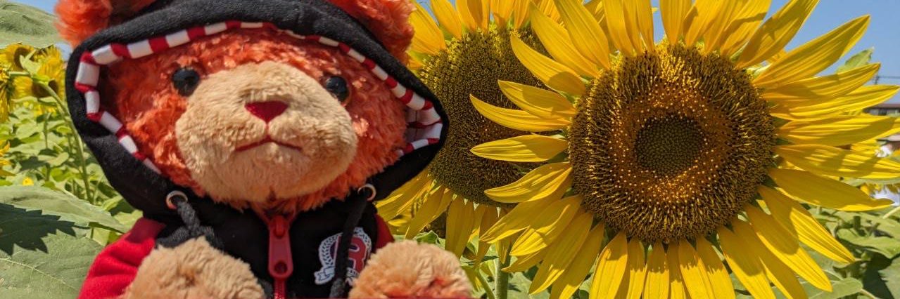 かなた⚙️初回ツイフィ必読/多忙 banner