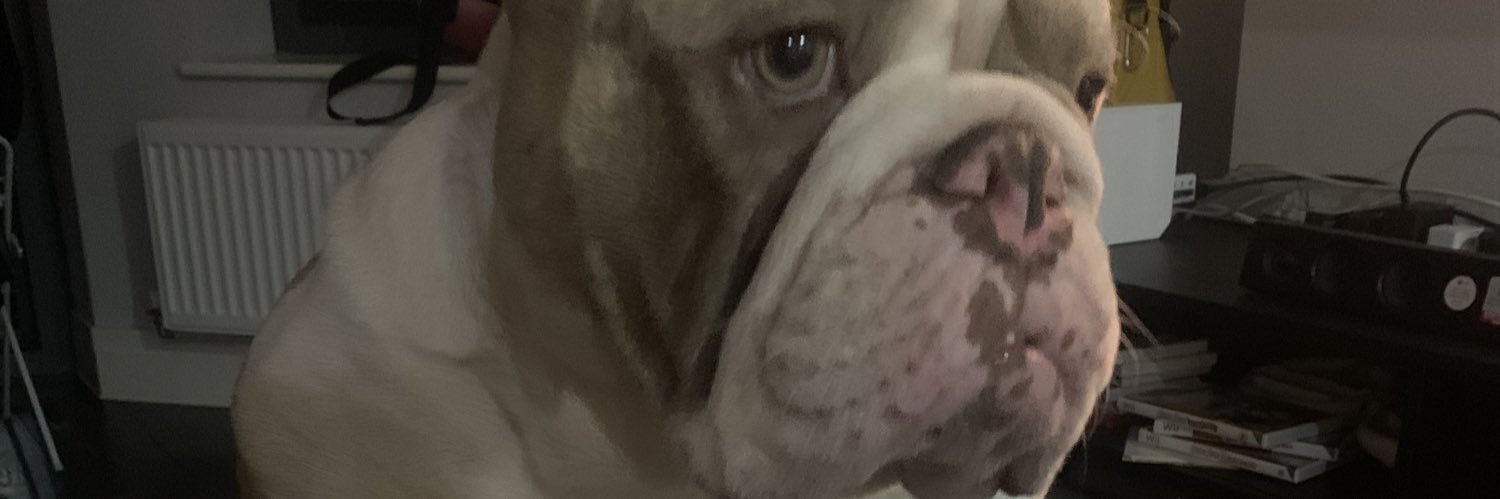 mclaughlinkyle_'s profile banner image