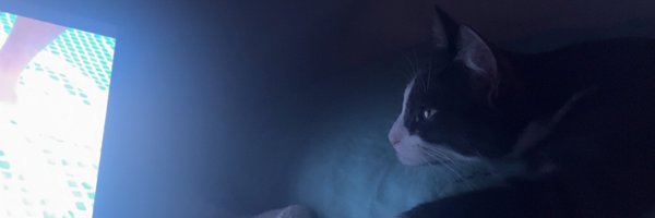 saboulette__ Profile Banner