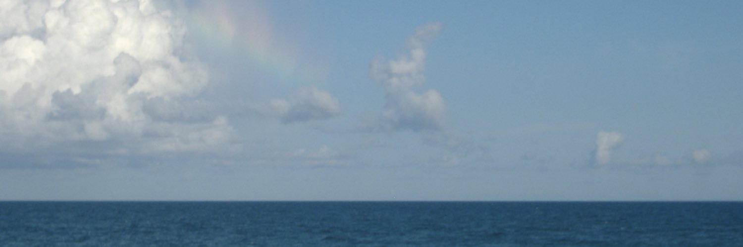 lexamerwexa's profile banner image