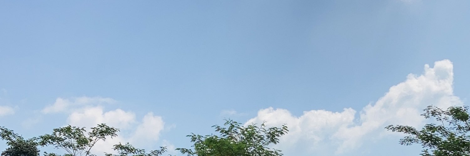 ncanncannn's profile banner image