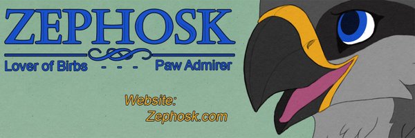 zephosk Profile Banner