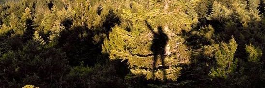 zeynebelle's profile banner image