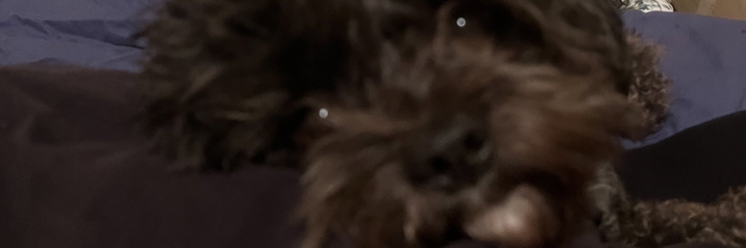 antevasinmona's profile banner image
