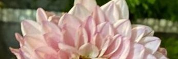 Almen82's profile banner image