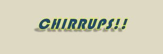 ChirrupsApp's profile banner image