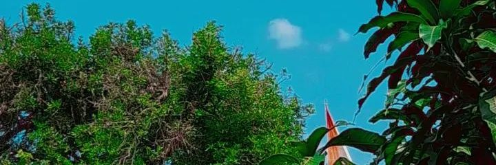 Fifieliput's profile banner image