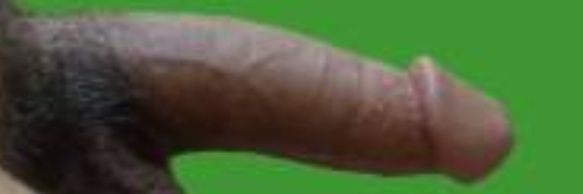 Fernand56389051's profile banner image