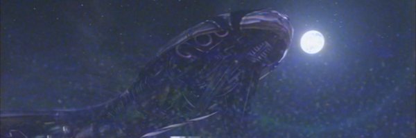 Kashiiera Profile Banner