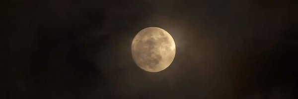 Gaurav_5016 Profile Banner