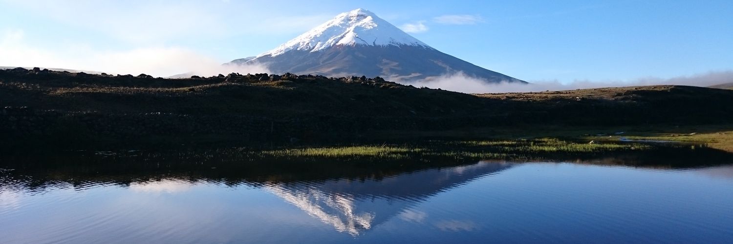 bumirob's profile banner image