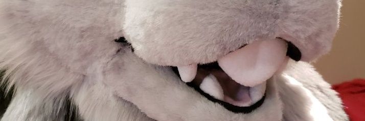 Fnook The Bunny🐰 🔜 FE 2026 banner